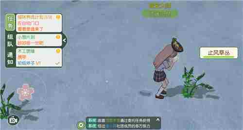 小森生活止风草在哪里 固定刷新位置介绍