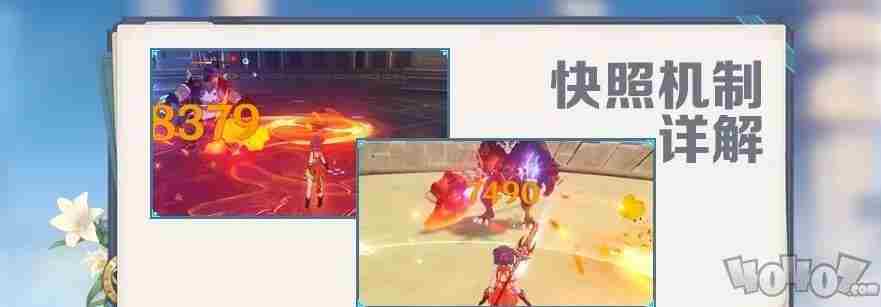 原神快照增幅属性有哪些?原神快照增幅属性一览