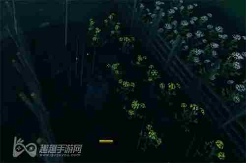 英灵神殿怎么种地得到的种子怎么种植