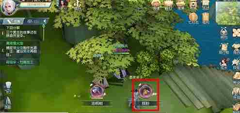 花与剑油桐树种子要怎么获得？油桐树种子获得方法介绍