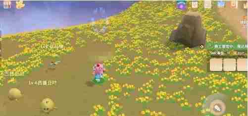 摩尔庄园交互祭坛在哪？交互祭坛位置介绍[多图]