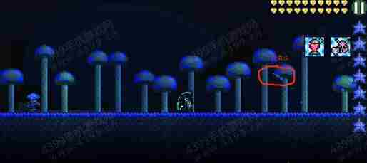 泰拉瑞亚手机版松露虫在哪