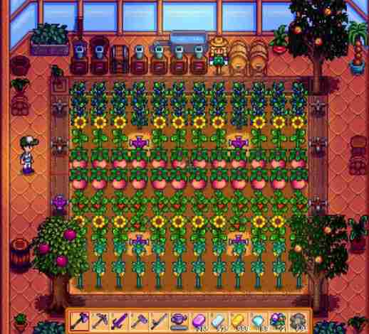 星露谷物语willy在哪