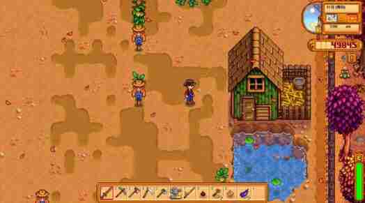 星露谷物语1.1版本更新内容预告