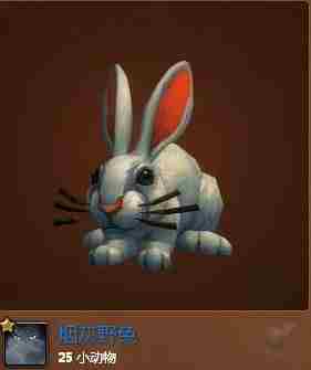 魔兽世界:藏身于达拉然的小兔子—隐藏宠物烟灰兔子获取攻略
