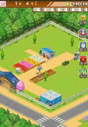 开园像素牧场完美布局 开园像素牧场布局攻略大全
