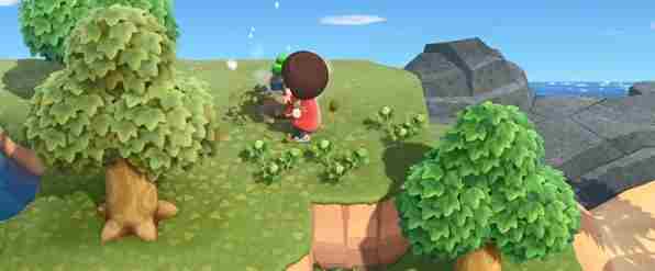 动物森友会怎么挖树 集合啦动物森友会挖树攻略