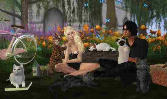 第二人生道德怎么提升