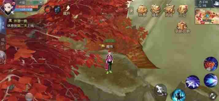 武林外传手游如花位置在哪 武林外传如花坐标详情介绍