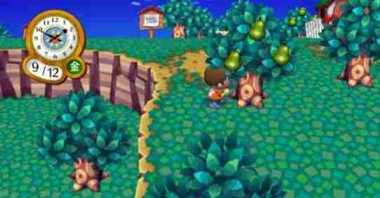 动物之森樱花树怎么种 动物之森种樱花树方法