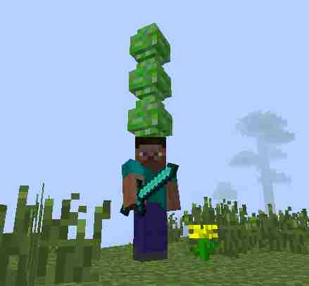 我的世界突变生物图鉴 突变生物有哪些