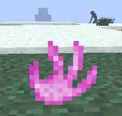 我的世界突变生物图鉴 突变生物有哪些