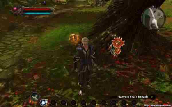 阿玛拉王国惩罚攻略 全流程图文攻略