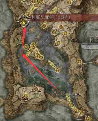 艾尔登法环魔女拉妮支线全流程-艾尔登法环拉妮魔法塔怎么过去