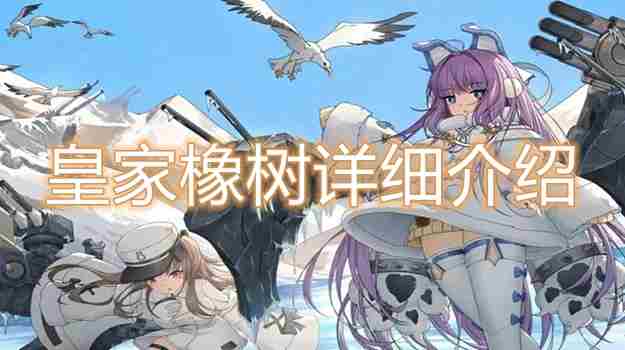 碧蓝航线皇家橡树厉害吗