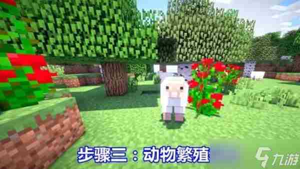 我的世界怎么养动物