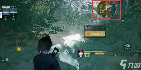 黎明觉醒生机第十三只兔子任务达成攻略