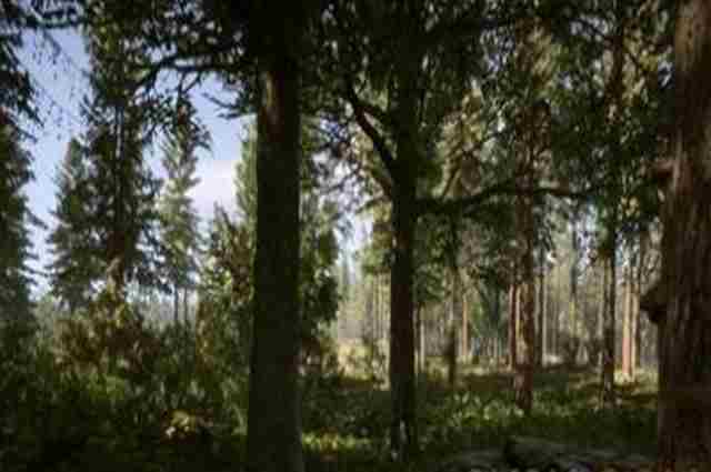 森林之子怎么建房子