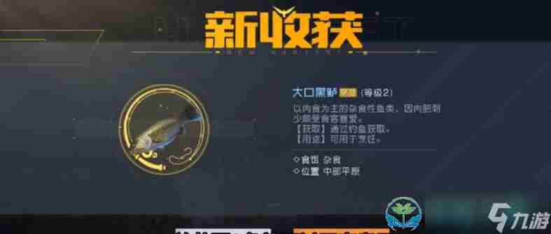 黎明觉醒生机啤酒鲈鱼煲怎么制作