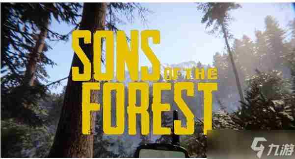 《森林之子》代码大全介绍