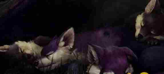 LOL艾翁技能是什么 新英雄艾翁什么时候更新