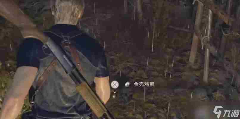 生化危机4重制版寻蛋启事怎么做寻蛋启事完成流程解析