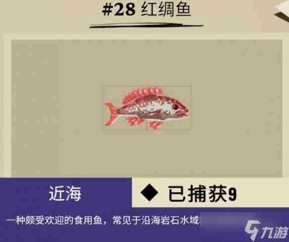 柔骨鱼在哪呀 远洋鱼类