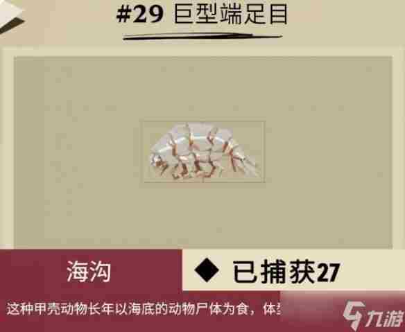 柔骨鱼在哪呀 远洋鱼类