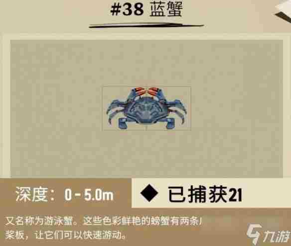 柔骨鱼在哪呀 远洋鱼类