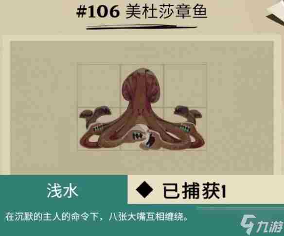 柔骨鱼在哪呀 远洋鱼类