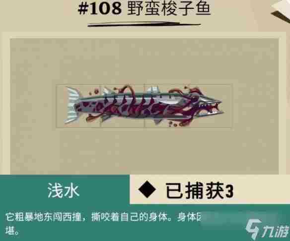 柔骨鱼在哪呀 远洋鱼类