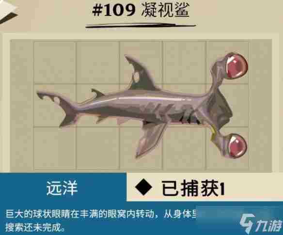 柔骨鱼在哪呀 远洋鱼类