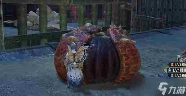 怪物猎人崛起赤甲兽大小金