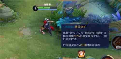 王者荣耀精灵保护消失是什么意思