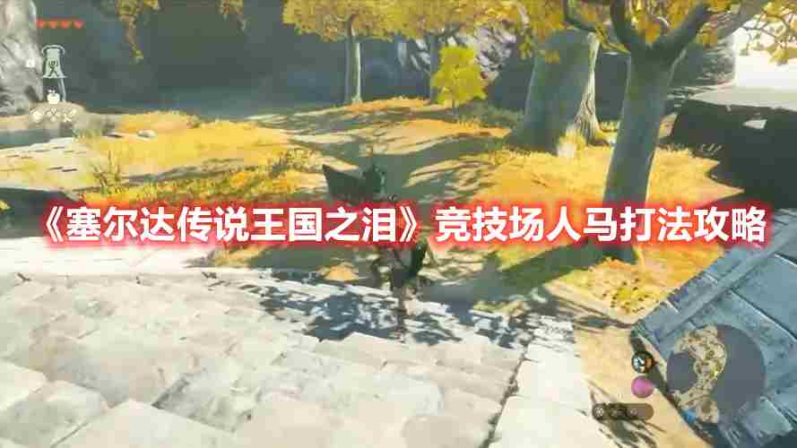塞尔达传说王国之泪水上竞技场人马连战逃课方法