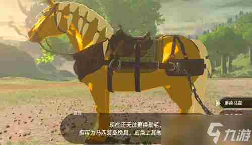 王国之泪牵引挽具获得方法 国王之手装束