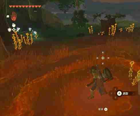 塞尔达传说王国之泪海拉鲁草采哪里多 海拉鲁草采集位置推荐[多图]