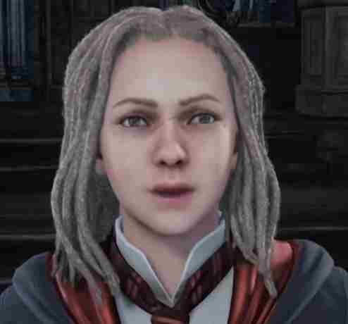 霍格沃茨之遗女性捏脸分享 霍格沃茨的秘密捏脸