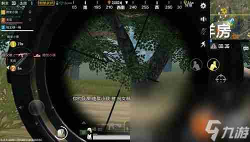 和平精英四排吃鸡怎么玩 吃鸡单人四排怎么打