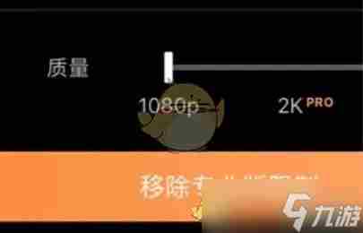 pixaloop pixaloop无法导出