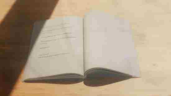 龙族新作最后的旅行2026年发售