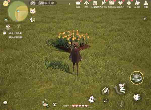 无限暖暖x星露谷联动任务星星带来新朋友通关指南