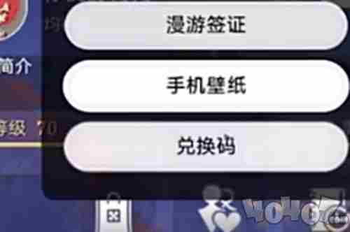 星穹铁道2024年300星琼兑换码