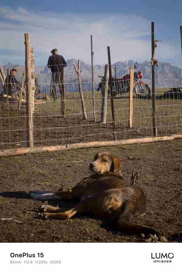 一加15新机:告别哈苏 oppofindx拍照