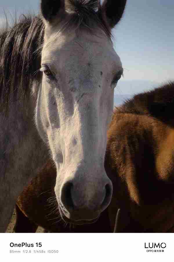 一加15新机:告别哈苏 oppofindx拍照