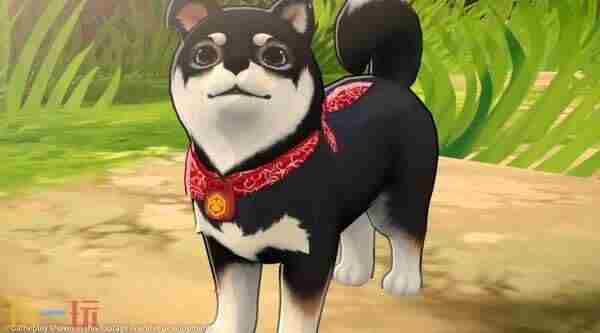 Video 宝象国的妖怪叫什么