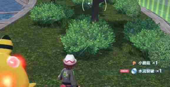 宝可梦传说ZA全技能位置获得方法