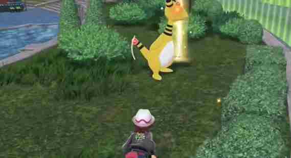 宝可梦传说ZA全技能位置获得方法