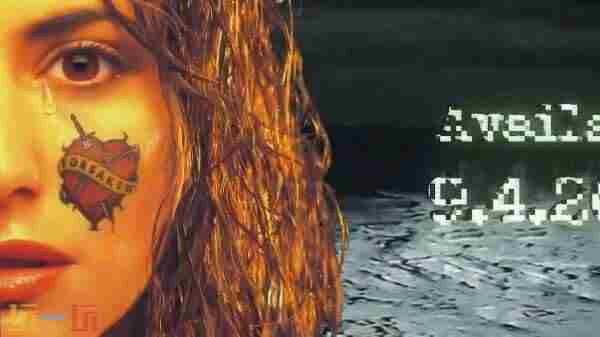 Nintendo 怎么看自己是不是任天堂会员