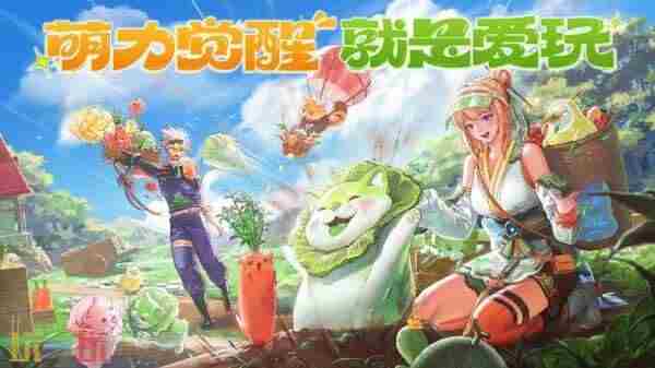 dnf蔬果精灵宠物怎么获得 dnf手游礼包领取大全